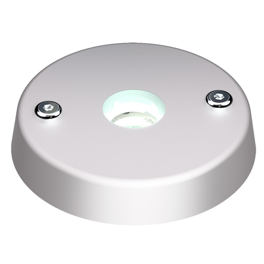 Lopolight Spreader Light - White/Red - Surface Mount - Deckhand Marine Supply