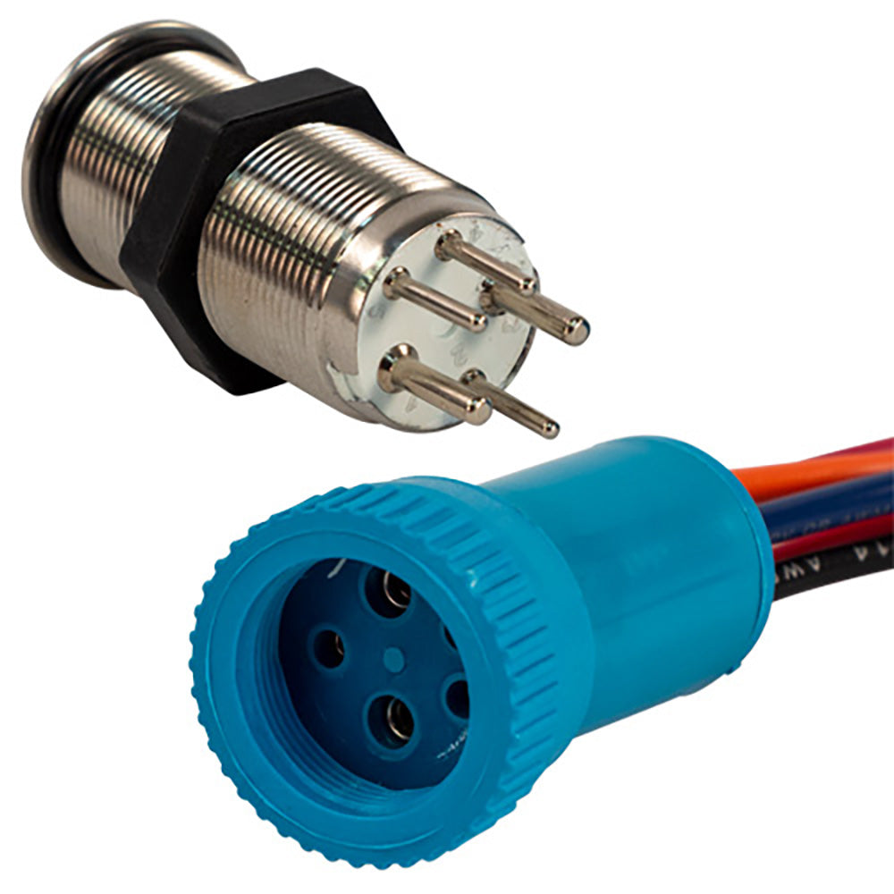 Bluewater 19mm Push Button Switch - Off/(On) Momentary Contact - Blue/Red LED - 4' Lead - Deckhand Marine Supply