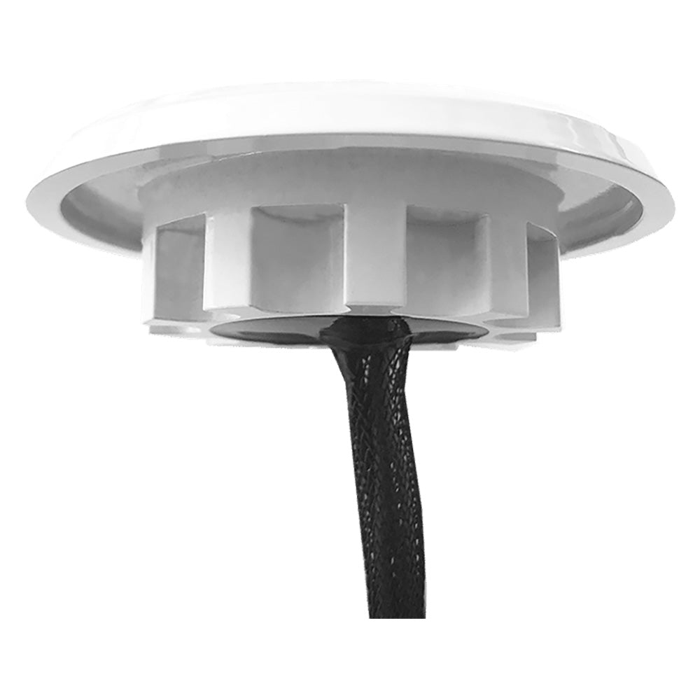 Shadow-Caster Downlight - White Housing - Cool White - Deckhand Marine Supply