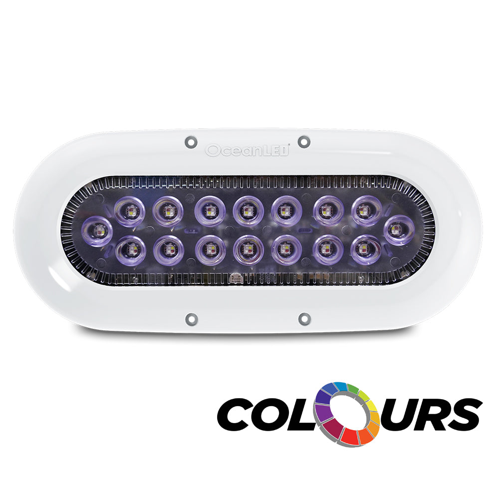 Ocean LED X-Series X16 - Colors LEDs - Deckhand Marine Supply
