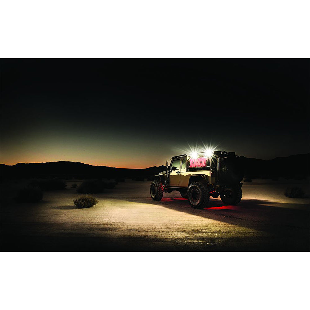 RIGID Industries 1" x 2" 65 - DC Scene Light - Black - Deckhand Marine Supply