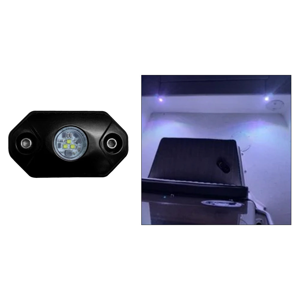 Black Oak Rock Accent Light - White - Black Housing - Deckhand Marine Supply