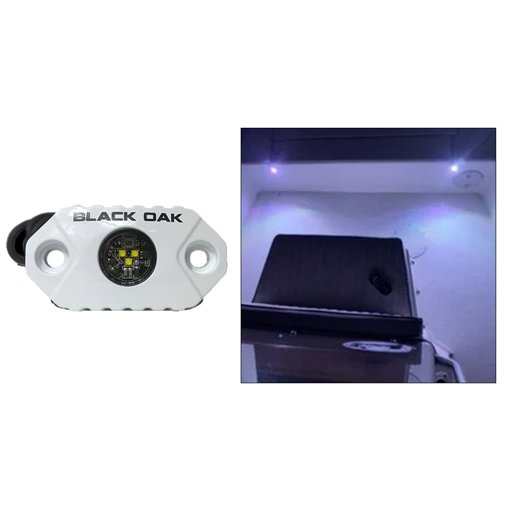 Black Oak Rock Accent Light - White LEDs - White Housing - Deckhand Marine Supply