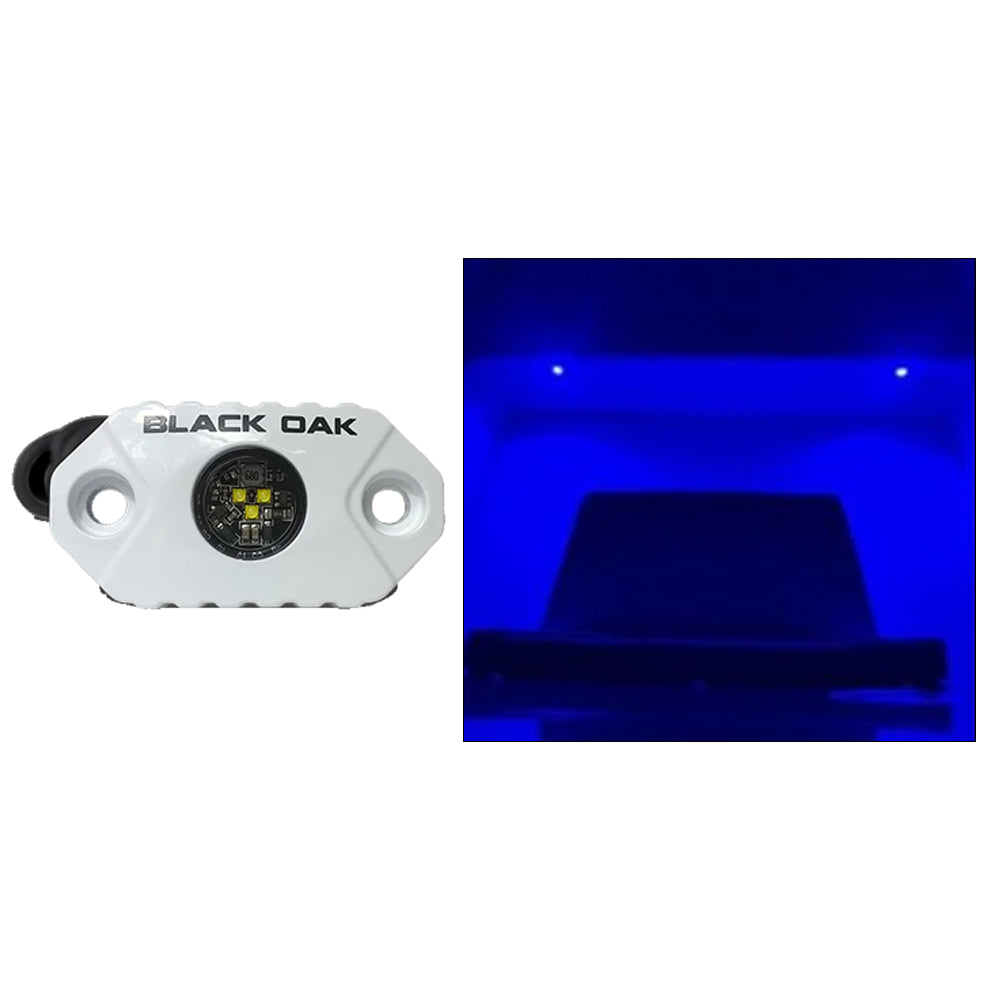 Black Oak Rock Accent Light - Blue LEDs - White Housing - Deckhand Marine Supply